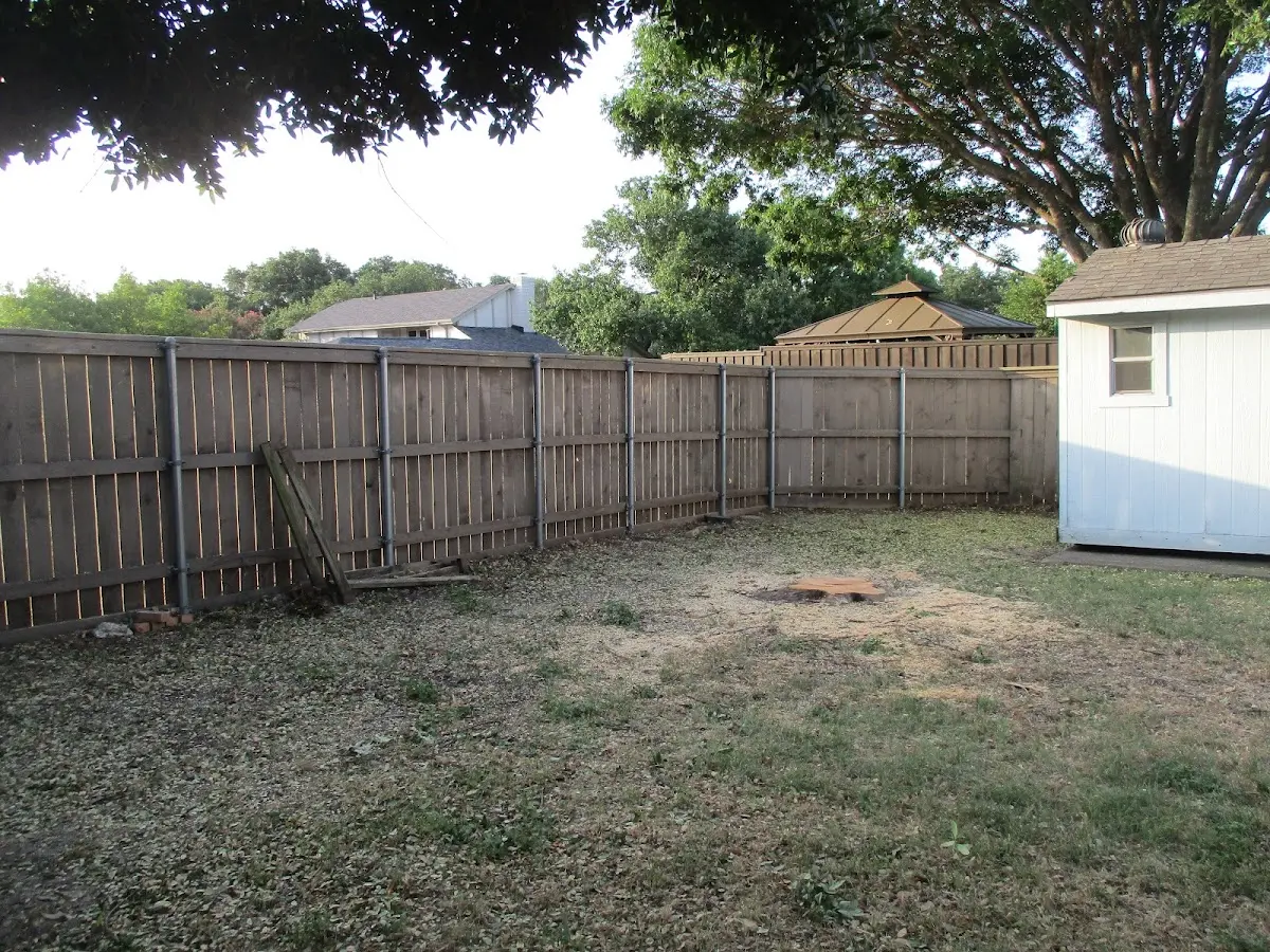 Cleared yard after professional tree removal in Bridgewater Corners